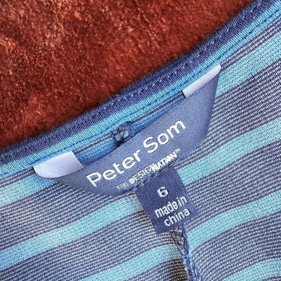 Peter Som Blue Striped Fit and Flare Sleeveless Dress Sz. 6 - Picture 11 of 11